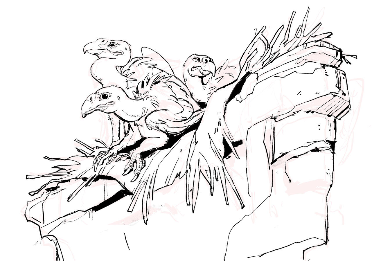 Griff-Vulture Chicks